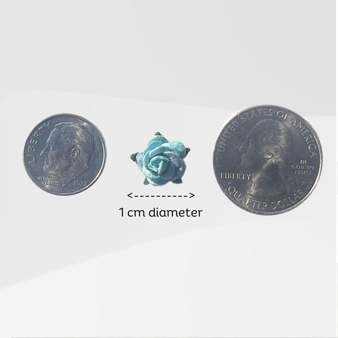 Classic Rose Small -  Aquamarine