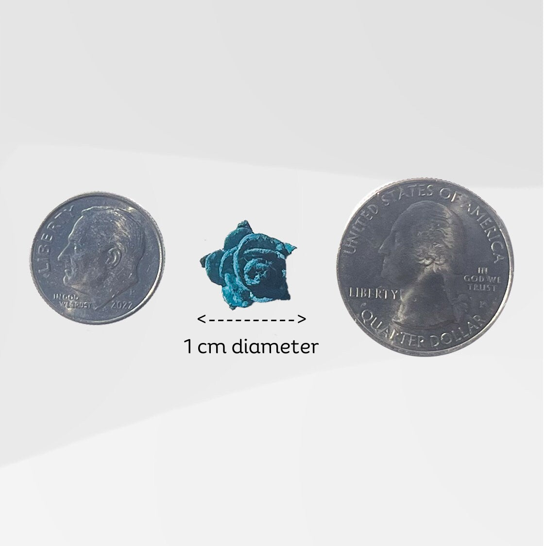 Classic Rose Small - Turquoise