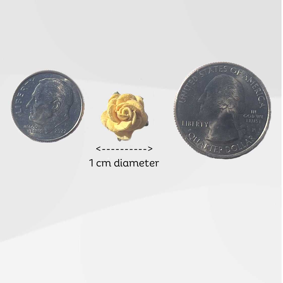 Classic Rose Small - Yellow