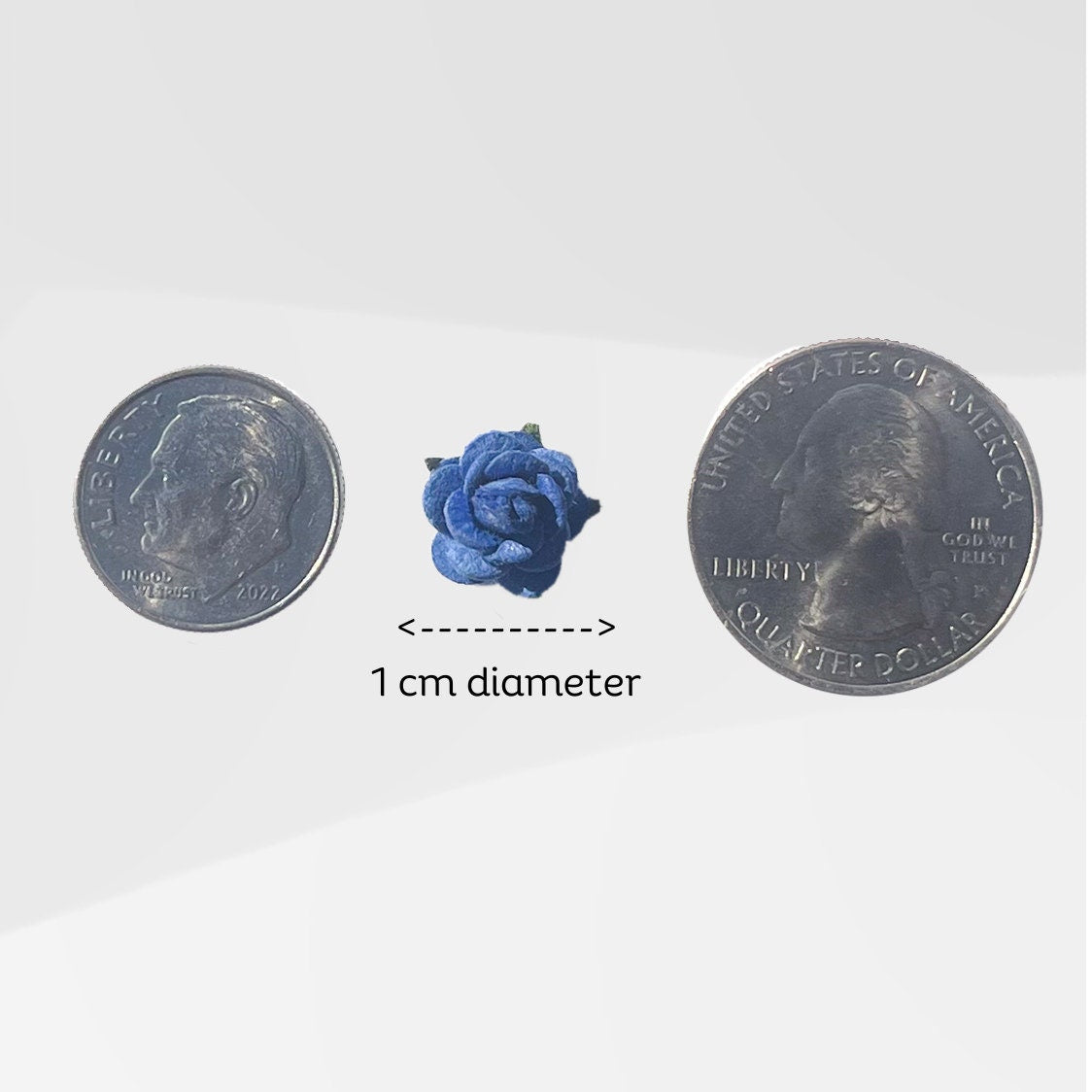 Classic Rose Small - Blue