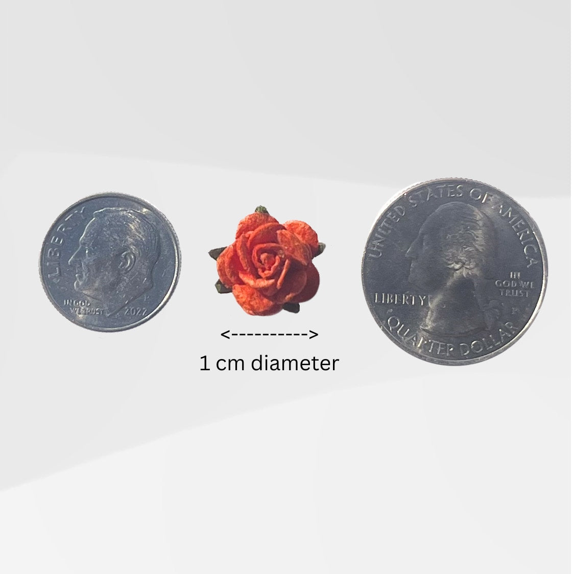 Classic Rose Small - Orange