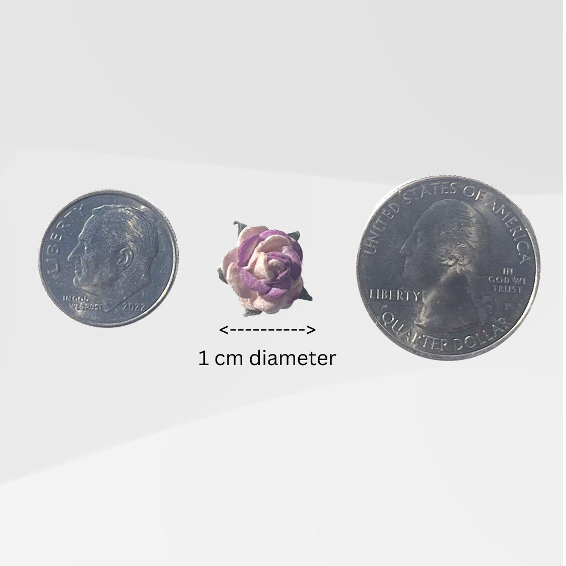 Classic Rose Small -  Purple