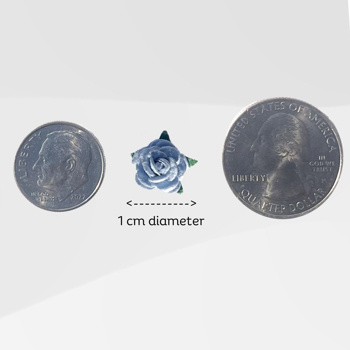 Classic Rose Small - Light Blue